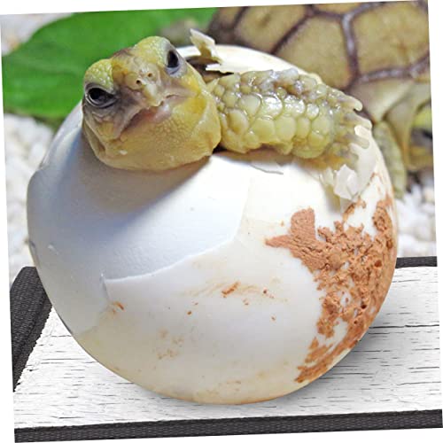 Almohadilla térmica para reptiles BESPORTBLE 4 unidades miniatura 4