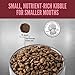 ORIJEN Grain Free High Protein Dry Dog Food Small Breed Recipe 10lb Bag