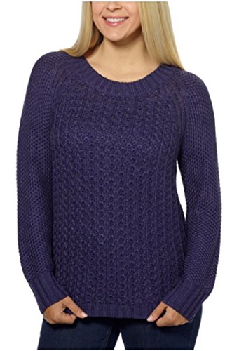 Calvin Klein Jeans Ladies Crew Neck Sweater (X-Large, Patriot Blue)