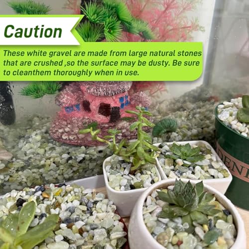 Image of 45lb Jade Bean Stone,1 /4 Inch Bonsai DIY Rocks, Natural Succulent Rock and River Rocks Decorative for Aquariums, Vases, Terrarium, Outdoor Gardening, Top Dressing for Potted Plants