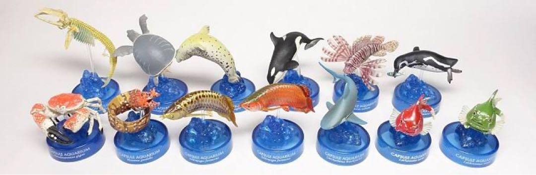 Amazon.co.jp: 日本水族館立体生物図鑑3 : おもちゃ