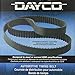 Dayco 95319 Timing Belt