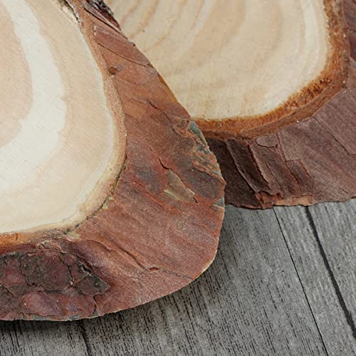 Artibetter Wooden Signs Tree Bark Wood Wood Discs 3pcs Oval Tag Wooden Plaques Decorated Crafts for Hangings Hanging Pine Slice DIY Wooden Cutout Predrilled Wood Wooden Circles - Image 4