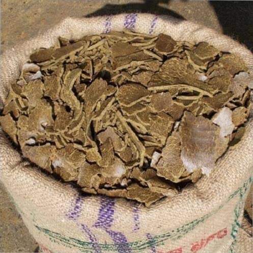 Nectar Garden Original Mustard Cake Fertilizer for Plants (2 kg)-image-12