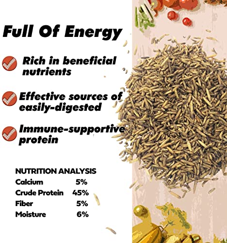 Image of VAYINATO Adult Heredity Dried Black Soldier Fly Larvae (2400+) for Aquarium Fish, Birds and Reptiles - 200G (Buy 1 Get 1 Free)