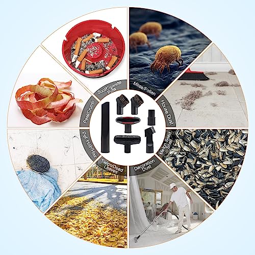 BUZIFU 7 Stück Staubsauger Düsen Set 32-35 mm Staubsauger Aufsatz Universal Staubsaugeraufsätze Polsterdüse Matratzendüse Fugendüse Kompatibel mit Kärcher/Miele/Siemens/AEG/Bosch/Panasonic/Philips