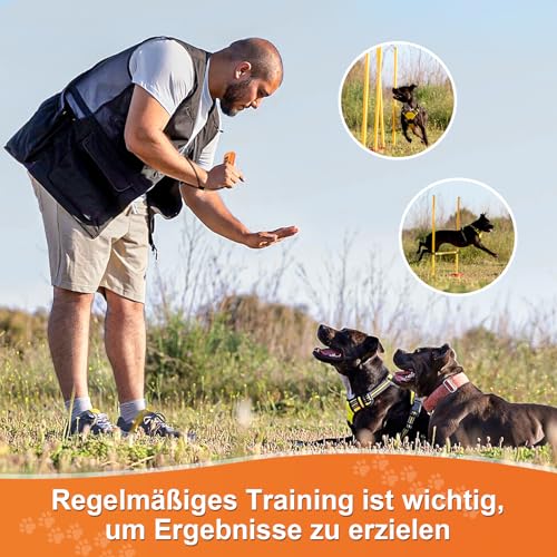 Honey Paws Ultraschall-Abschreckungsgerät gegen Hundebellen,DDD SSS