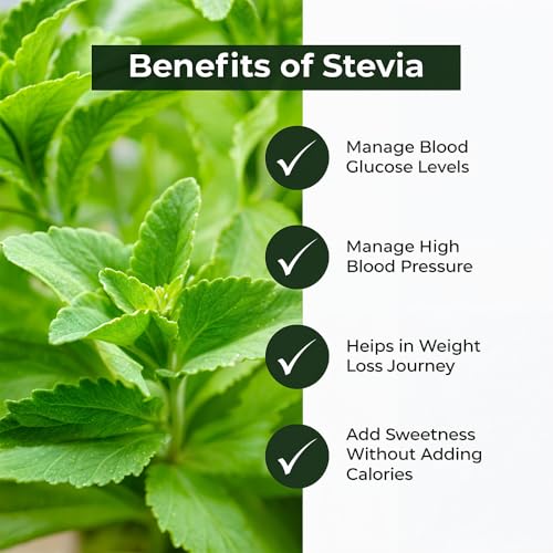 Image of Sugar Fighter Stevia Powder Jar- 100g | Zero Calorie & Fat-Free Sweetener | Natural Stevia Powder | Sugar Free | Non-GMO, Plant-Based Sugar Alternative | Zero Sugar Sweetener | Pack of 1