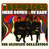 the tremeloes my little lady  Here Comes My Baby : The Ultimate Collection
