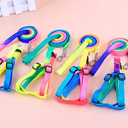 PSK PET MART Rainbow Color Puppy Harness & Leash Set Small Dog Harness Leash (B09SD83TQB) Amazon Price History, Amazon Price Tracker