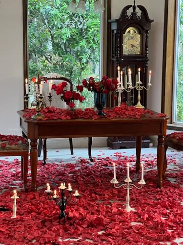 Pétalos secos naturales de rosa roja 100g para decoración miniatura 5