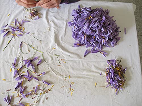 Saffron Threads Dop L’aquila – Abruzzo, Italy - 1 G #TOP2