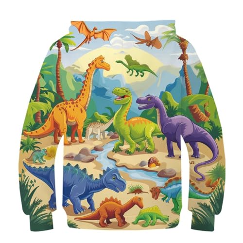 Sweat capuche dinosaures garçon pull confortable motif 3D ado 11-13 ans - 2