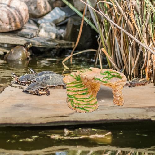Plateforme tortue en résine décorative pour terrarium intérieur