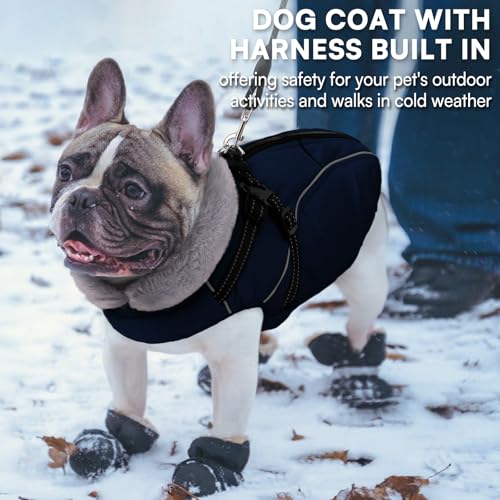 Queenmore Hunde Wintermantel Wasserdicht, Hundemantel mit Geschirr 3-Schicht Ausführung Reflektierend, Hundejacke Winter für Riesenrassen Labrador/Husky/Golden Retriever(Marineblau, 2XL)