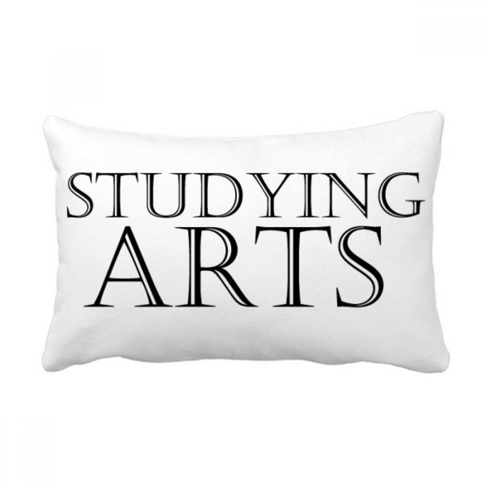 Coussin lombaire d'étude arts 40x60 cm multicolore pour décoration de canapé de salon