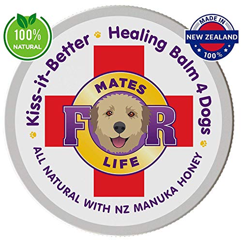 K9 Healing Balm for Dogs, All Natural, with Manuka Honey +20 UMF,