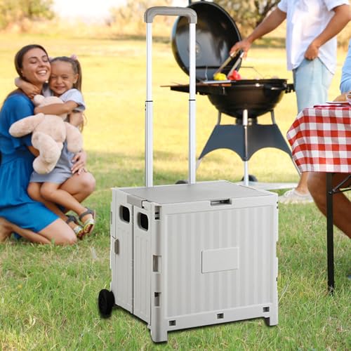 Caisse roulante pliable avec roues pour courses et appartement - 3