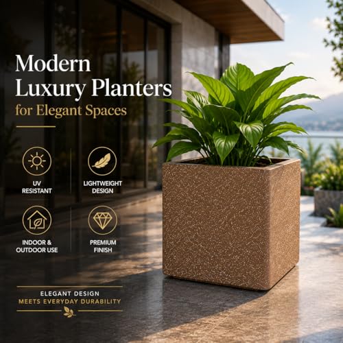 Image of ROTO Box Square Planter Pot Set | Premium LLDPE Outdoor Indoor Plant Pots | Modern Decorative Garden Planters for Home Balcony Office Patio (Dot Maroon, 1 - (12X12X12 inch), Set of 1)