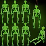 DULEFUN 8pcs Halloween Small Skeletons Decoration 6 Inch Glow in The Dark Plastic Skeletons Figurine Luminous Poseable Mini Skeleton for Halloween Party Favor Decor