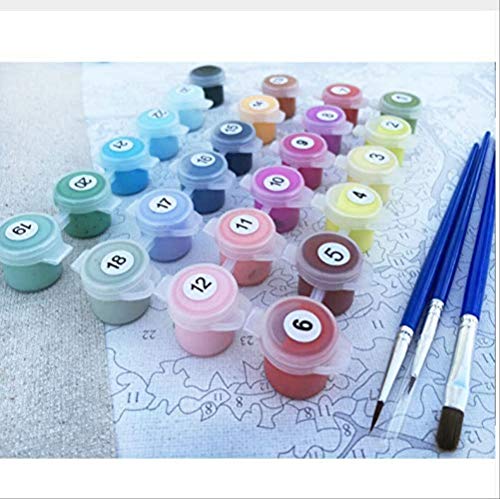 QAZZSF Paint By Numbers for Adults,DIY Acrylic