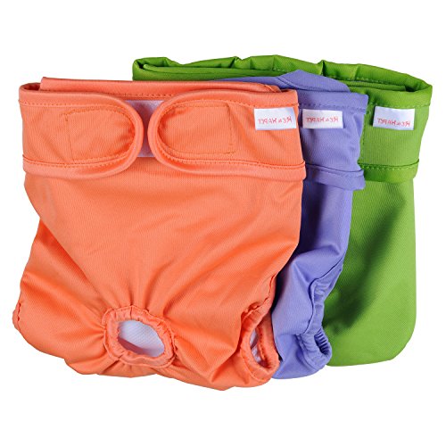He&Ha pet Dog Diapers Female Washable Female Dog Padded Diaper Reusable Dog Sanitary Panties Set of 3 (Small)