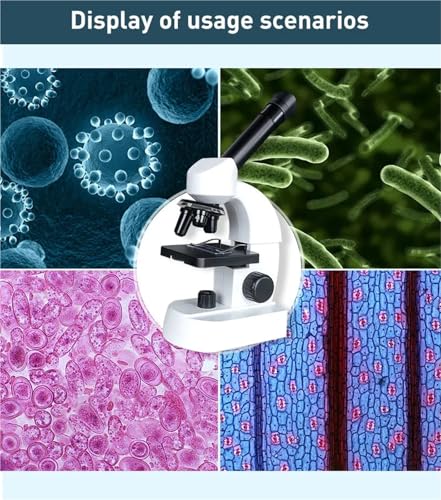 Microscope portable en plastique pour initier les enfants sans risque de casse - 2