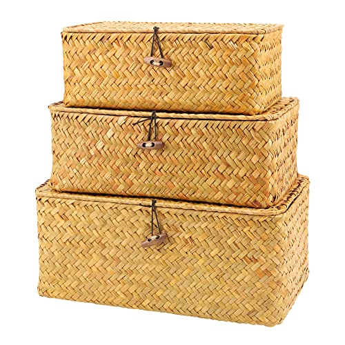 PINGEUI Set di 3 cestini portaoggetti con coperchio, in rattan intrecciato, multifunzionali, per soggiorno, cucina, grandi/medi/piccoli