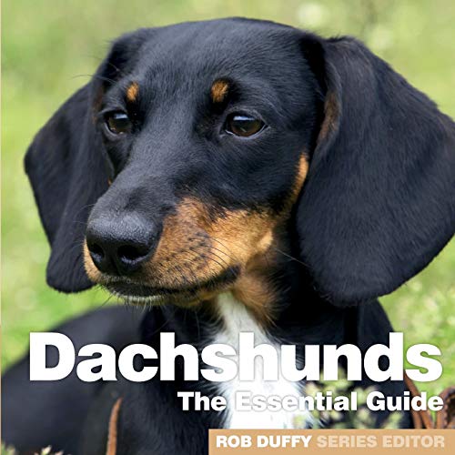 Dachshunds: The Essential Guide