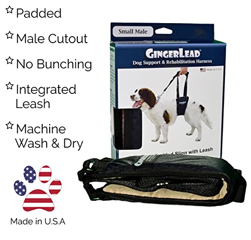 Gingerlead Dog Sling Hip Support Harness, Sm Male Fits Small To Medium Size Pets 20-65 Lbs. (Male Dachshunds Use X-Small Size) Or Larger Barrel Chested Dogs Like Boxers Or Bullies. Made In U.s.a. #TOP2