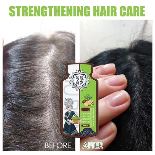 Ginger Anti Hair Loss Shampoo,Haarwachstum Shampoo,Polygonum Multiflorum Ginger Plant Extract Hair Care,Pflanzenextrakt ShampooGegen Haarausfall, Natürlich Bio Anti-Haarausfall