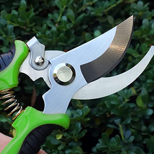 Trimmers Secateurs Hand, Professionele Secateurs, Sharp Bypass Tree Trimmers for Branches Flowers Fruit Planten Bonsai… - Afbeelding 8