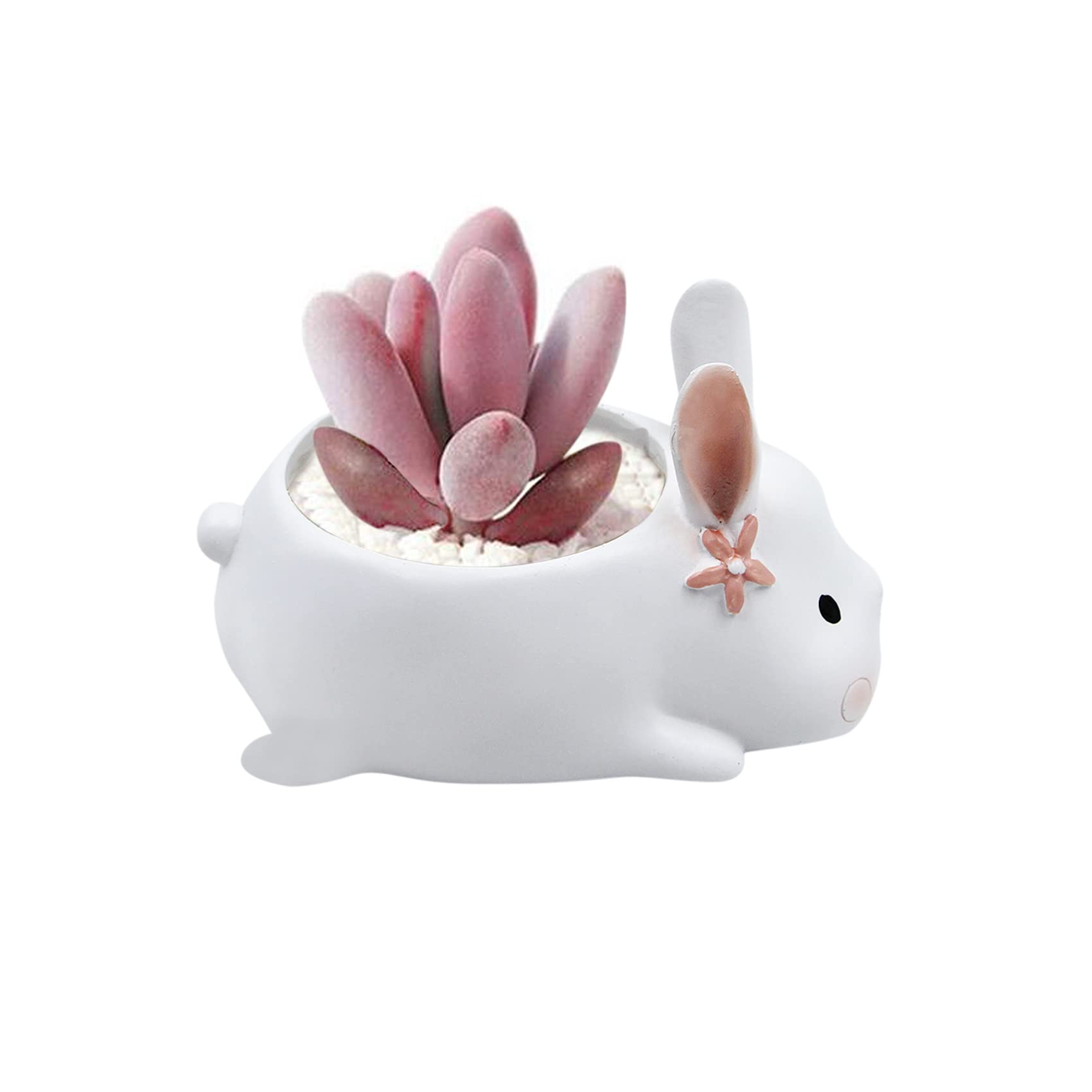6 vasi in ceramica per piante grasse piccole, moderne a forma di animale, per piante da interno