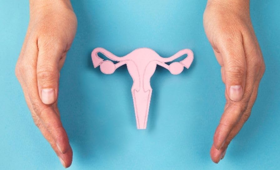 Miniatura 4 de Vulva Care - Cápsulas probióticas y prebióticas femeninas para el equilibrio del pH vaginal y el apoyo del olor, mezcla diaria de lactobacillus para