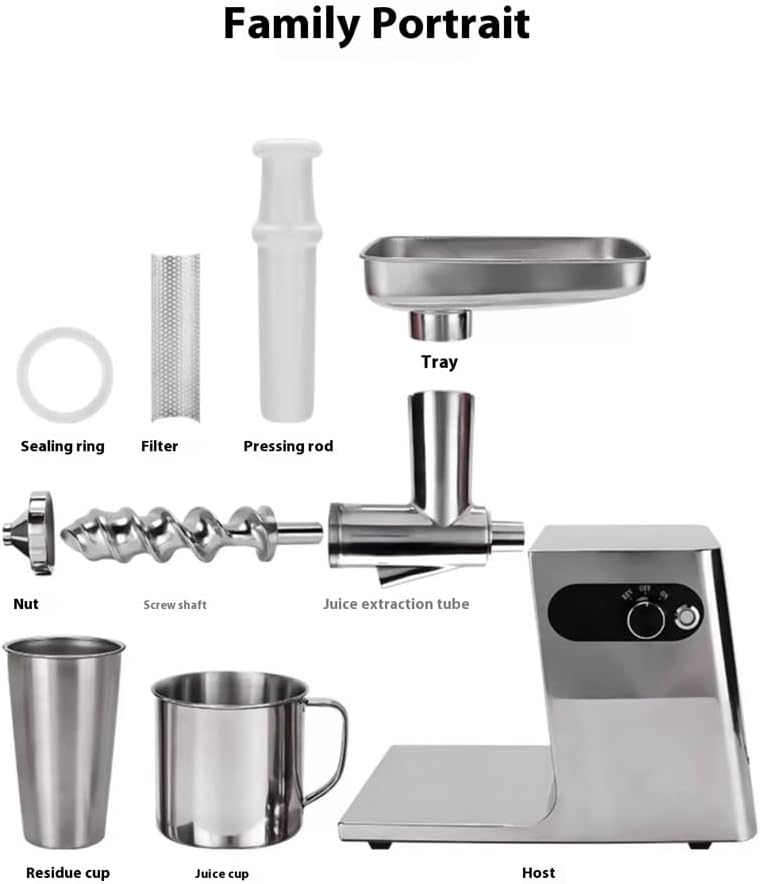 LXT Low Speed Juicer Slow And Cold Press Juice Machine 200W Masticating Auger Juicer Fruit And Vegetable Fresh Juice Machine