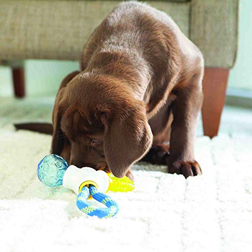 JW Puppy Connects - Image 2