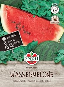 Sperli Sugar Baby Wassermelonen Samen 81550