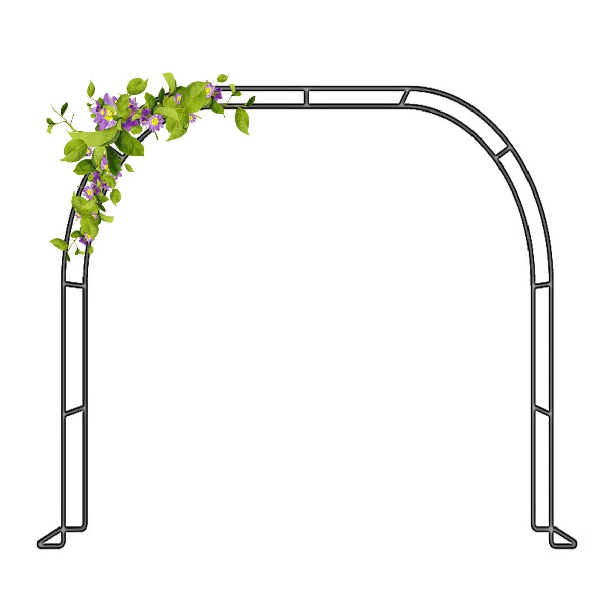 Vignes grimpantes sur arche de jardin en métal et treillis en acier pour tonnelle de roses
