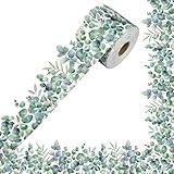 82 Ft Eucalyptus Bulletin Board Borders Eucalyptus Border Trim Rolled Greenery Leaf Bulletin Border Decor Die-Cut Greenery Classroom Borders for School Office Classroom Chalkboard Decor