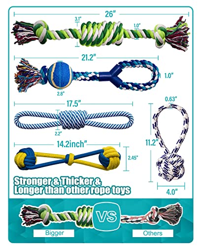 Robust Chew Toy Bundle