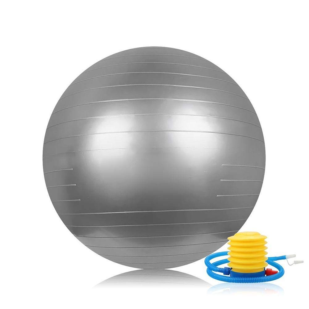 IRIS Fitness Gym Ball 65 CM (Silver).-picture-25