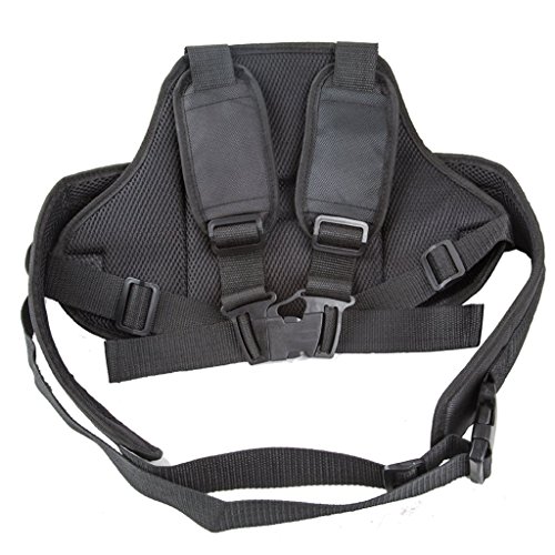 Adjustable Motorcycle Safety Seat Belt Electric Vehicle Safety Harness Strap for Children Safety(Black)