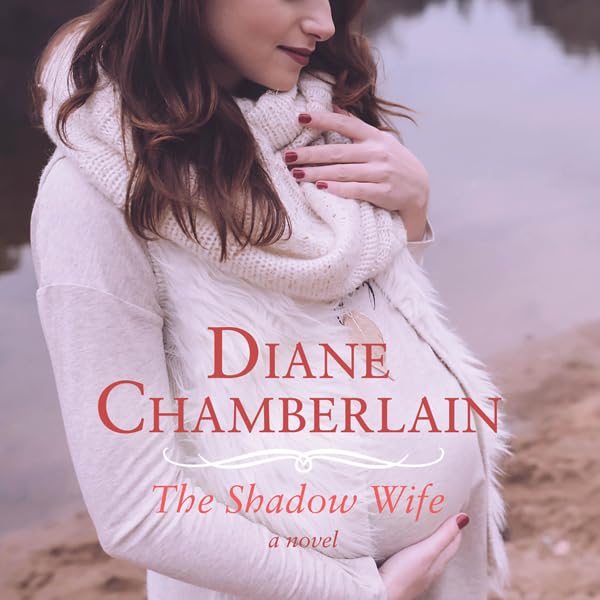 Cover art for The Shadow Wife