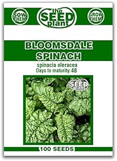 Bloomsdale Spinach Seeds 100 Seeds Non-GMO