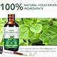 Oregano öl, Wildes Berg Oregano öl, Oregano öl Bio