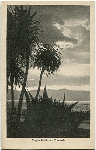 1926 Reggio Calabria - Vista del mare con tramonto e palme - FP B/N VG Cartolina Postale