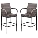 Homall Patio Bar Stools Wicker Barstools Indoor Outdoor Bar Stool Patio Furniture with Footrest and Armrest for Garden Pool Lawn Backyard Set of 2 (Brown)