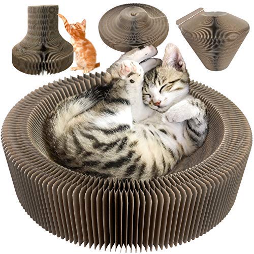 Sala multifuncional para cat Scratcher, almofada redonda dobrável com uma bola, o melhor lugar para