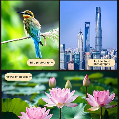 Image of 400mm Telephoto Lens for iPhone Android phone camera, HD Phone Telescope Lens with Universal Clip, for Multi-scene long-distance photography like Wildlife, Sports, concert, flower, etc.