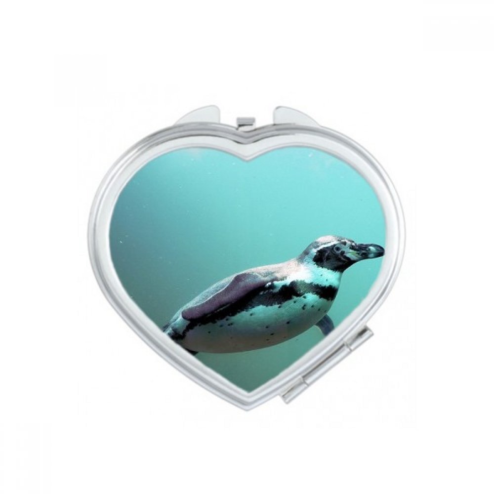 Miroir compact de maquillage pingouin de l'Antarctique idéal pour vos retouches de voyage